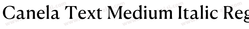 Canela Text Medium Italic RegularVe字体转换